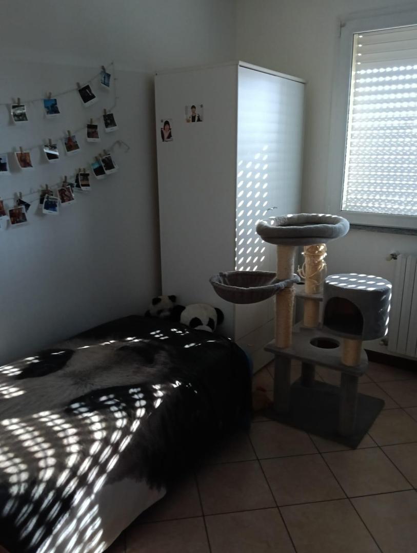  id.5268364