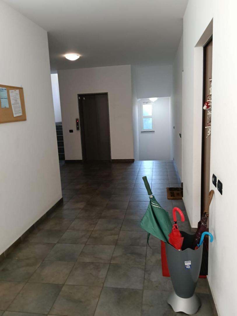  id.5268377